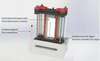 Oled Based Bio-reactor To Grow Co2 Absorbing Algea 